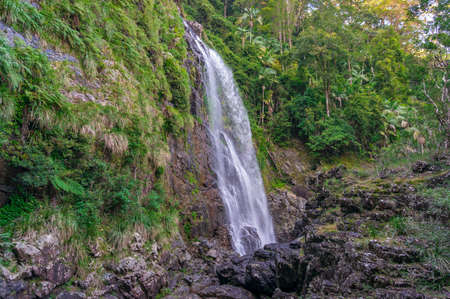 Beautiful forest landscape with waterfall nature background. Red Cedar Falls in Dorrigo National...