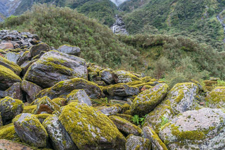 Different rocks covered with green moss and lichen nature texture background