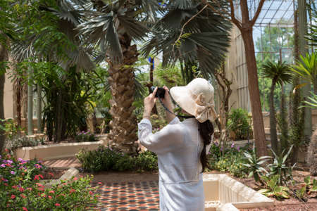 Female tourist taking pictures of tropical plants in the garden. Woman traveller photographer with...