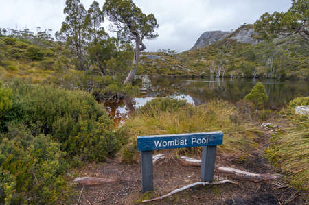 Tasmania, Australia - July 24, 2014: Australian wild landscape with eucalyptus trees and lake in the forest with sign Wombat pool. Overlander hiking track in Cradle Mountainのeditorial素材