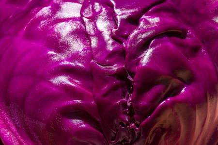 Purple background of abstract organic round shape with smooth shiny texture の写真素材