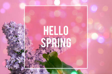Spring background design with purple blue lilac flowers and bokeh lights with text Hello Spring. Modern springtime designの写真素材