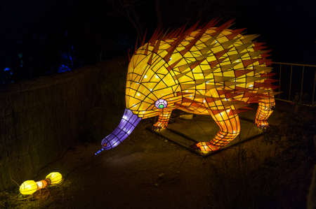 Sydney, Australia - June 11, 2016: Light sculptures of Australian native Echidna at Taronga Zoo during annual Vivid Sydney light festival. Vivid Sydney at Taronga Zooのeditorial素材