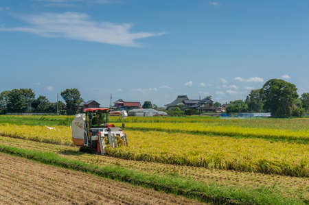 Ibaraki, Japan - September 10, 2016: Farmer in combine harvester harvesting crop from the field. Ibaraki prefecture, Japanのeditorial素材