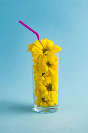 Creative composition with yellow flowers in a glass and a straw on a light blue background....