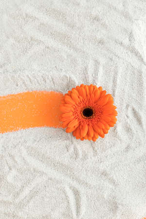 Orange flower on gray sand.  Minimal spring concept. Flat lay.の写真素材