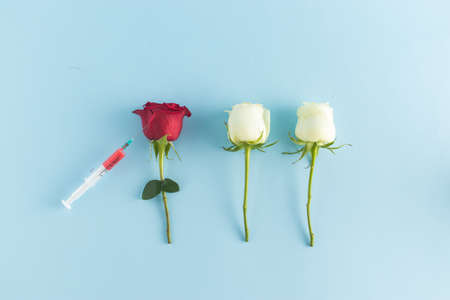 Creative  vaccine. Pandemic virus Respiratory Syndrome. Syringe and vaccination with red and white flowers. Minimal Pandemic or Women's day backround.の写真素材
