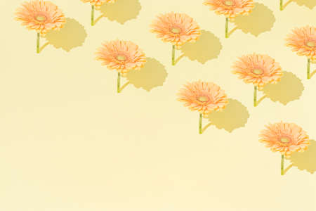 Creative pattern made with flowers on a yellow background. Copy space. Minimal Women's day and...