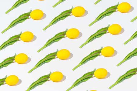 Creative pattern composition with a yellow Easter egg made like a tulip flower. Minimal Spring holidays background.の写真素材