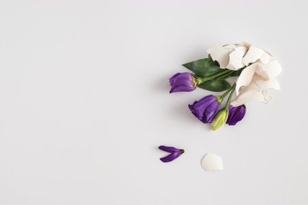 Easter spring layout with cracked white eggshells and flowers on white background. Creative Easter...