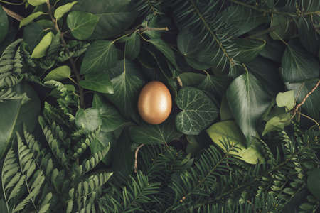 Creative Easter nature background. Green Spring leaves and gold Easter eggs. Minimal spring abstract composition. Flat lay.の写真素材