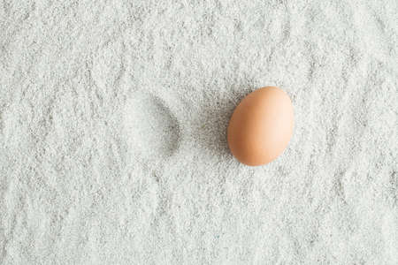 Minimal Easter concept with a brown egg and a trail on the sand. Summer and holiday idea. Flat lay.の写真素材