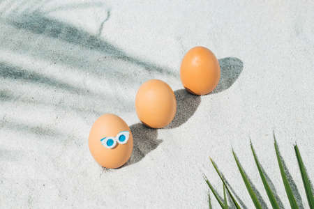 Summer Easter composition with eggs on the sand and palm trees. Summer and holiday background idea.の写真素材