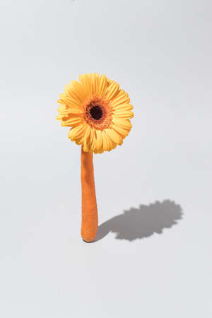 Easter Composition with fresh carrots and flowers on a gray background. Creative food or spring conceptの写真素材