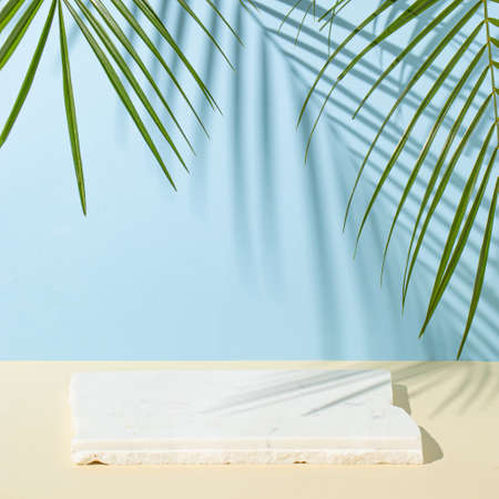 Marble podium with palm leaves on beige and light blue background. Concept scene summer stage showcase, for product, promotion, sale, banner, presentation, cosmetic and fashion. Minimal showcase mock up concept.の写真素材