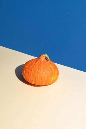 Creative layout of autumn orange pumpkin on blue background. Creative thanksgiving concept.の写真素材