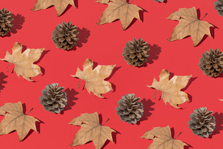 Creative pattern with autumn dry leaves and cones on a red background. Autumn concept. Flat lay, top viewの写真素材