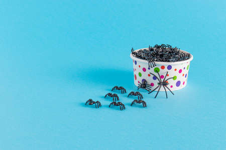 Composition with spiders and ice cream box on a light blue background. Halloween creative concept. Flat lay.の写真素材