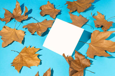 Creative autumn composition made of dried leaves and paper on a light blue background. Autumn, fall concept. copy space.の写真素材