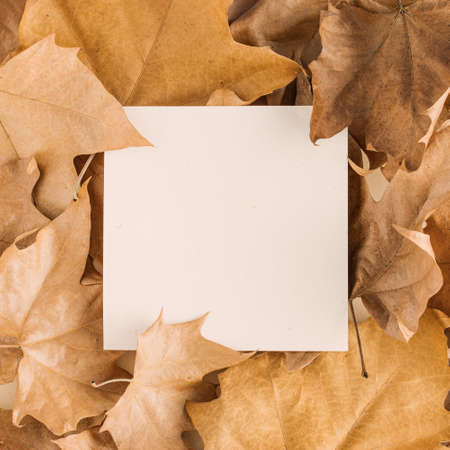 Creative layout made of dry leaves with paper card note. Flat lay. Autumn nature concept. Flat lay, copy space.の写真素材