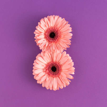 Creative concept with pink fresh flowers against purple background. Minimal nature or Mother's Day...