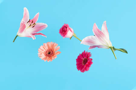 Creative background with colorful fresh flowers. Minimal nature or Mother's Day composition.の写真素材
