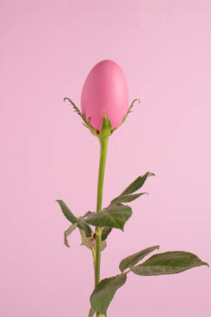 Creative Easter egg like a pink fresh flower. Minimal holiday or nature concept.の写真素材