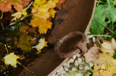 Vintage metal tub with yellow maple leaves - fall outdoor decor,  selective focus on tub handleの写真素材