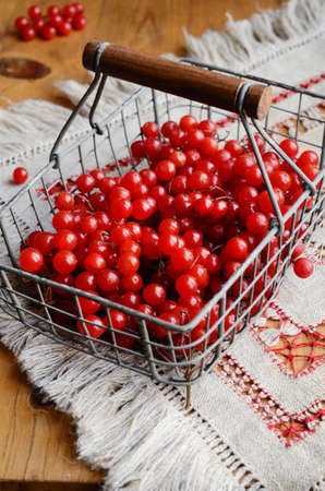 Red berries of viburnum in wire basketの写真素材