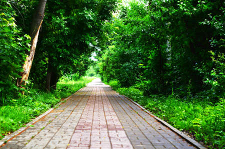 Summer paved road backdropの写真素材
