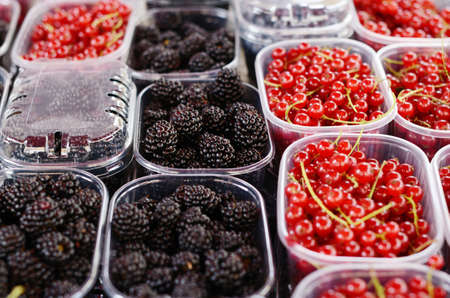 Blackberry and red currant in plastic containers at the marketの写真素材