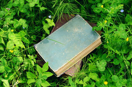 Pile of vintage books in summer green grass
