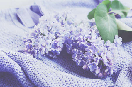 Tender lilac flowers over knitted sweater, pastel colors