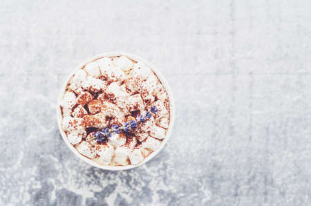 Hot chocolate with marshmallow, lavender and cinnamon on marble background, table top viewの写真素材