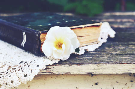 Old book and wild rose flower on vintage lace doily on summer garden tableの写真素材