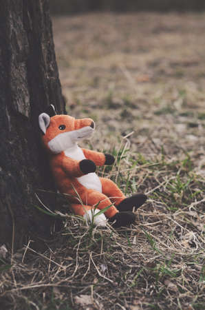 Little fox toy sitting in a forestの写真素材
