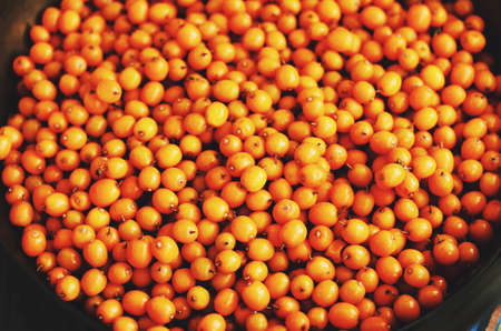Fresh sea buckthorn in a bowl, top view