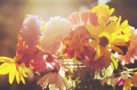 Bouquet of colorful flowers in soft sun lightsの写真素材