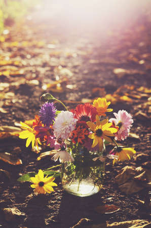 Bouquet of colorful autumn flowers in sunbeamsの写真素材