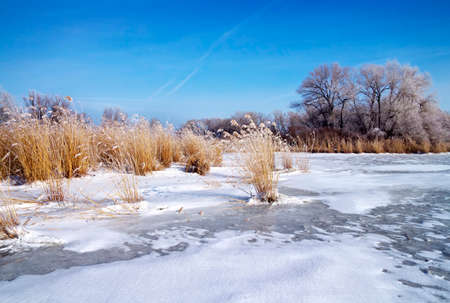 Winter landscape with trees and frozen river の写真素材