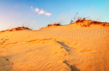 Landscape with blue sky and dunes. Sunset on the dunes. Beautiful landscape in desert. の写真素材
