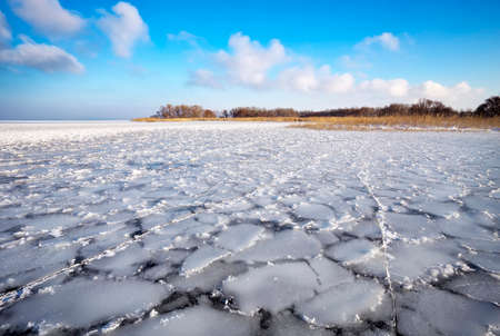 Winter landscape with trees, reeds and frozen riverの写真素材