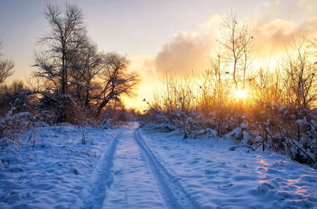 Beautiful winter landscape with sunrise sky, road and treesの写真素材