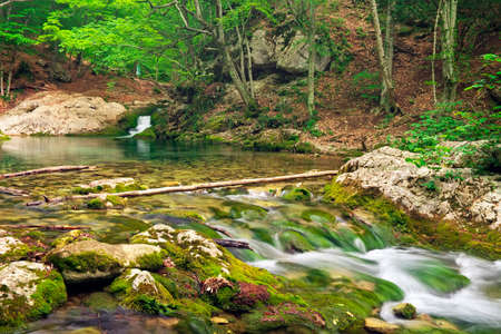 Mountain river in forest and mountain terrain. Crimea, the Grand Canyon. Nature composition.の写真素材