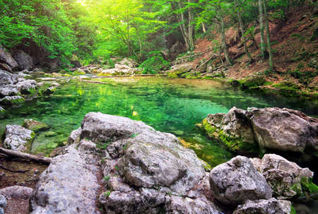 Mountain river in forest and mountain terrain. の写真素材