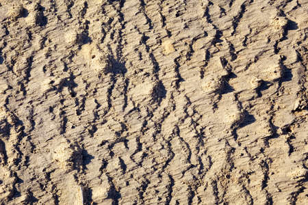 Sand ground texture on a autumn day.の写真素材