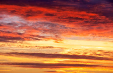 Fiery orange sunset sky. の写真素材
