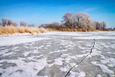 Winter landscape with trees, reeds and frozen riverの写真素材