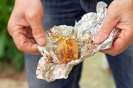 Baked on the coals, prepared potato on foil in male handsの写真素材