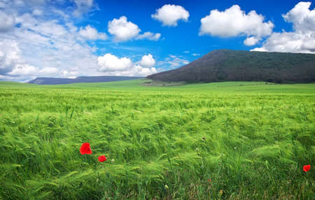 Beautiful landscape with meadow, mountain and blue cloudy sky. Nature composition.